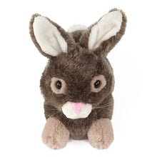 Load image into Gallery viewer, Everberry Brown Bunny Rabbit Slippers Front View
