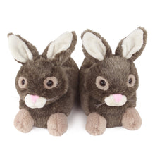 Load image into Gallery viewer, Everberry Brown Bunny Rabbit Slippers Front View of Pair