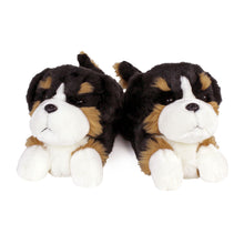 Load image into Gallery viewer, Everberry Bernese Mountain Dog Slippers View of Pair