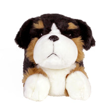 Load image into Gallery viewer, Everberry Bernese Mountain Dog Slippers Front View