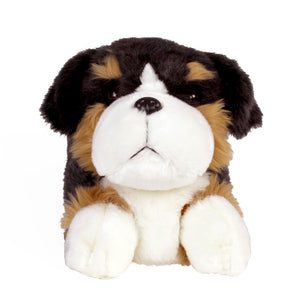 Everberry Bernese Mountain Dog Slippers Front View