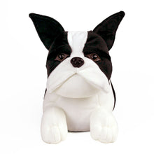Load image into Gallery viewer, Everberry Boston Terrier Slippers Front View