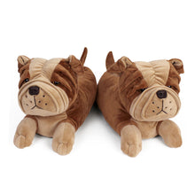 Load image into Gallery viewer, Everberry Bulldog Slippers Front View of Pair