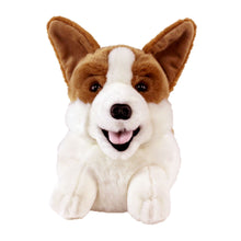 Load image into Gallery viewer, Everberry Corgi Slippers Front View