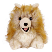 Load image into Gallery viewer, Everberry Pomeranian Slippers Front View